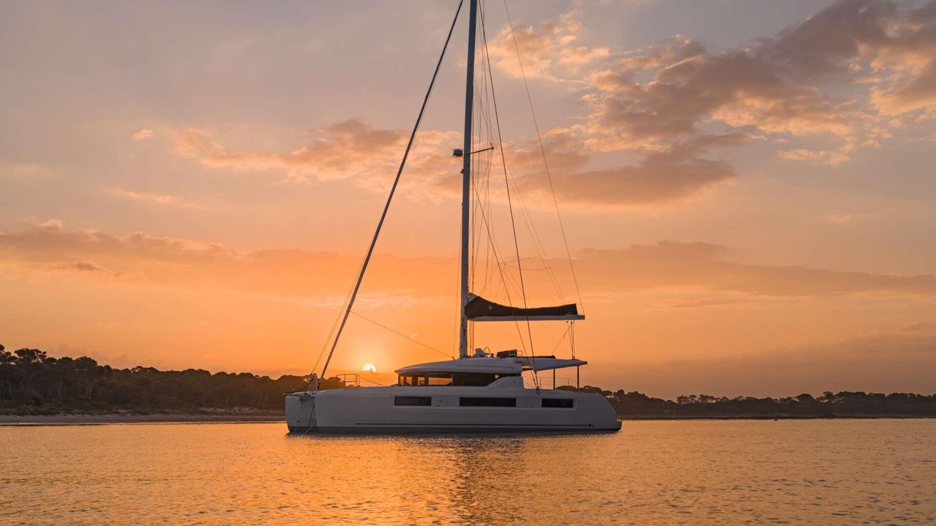 Nauti Cat CY